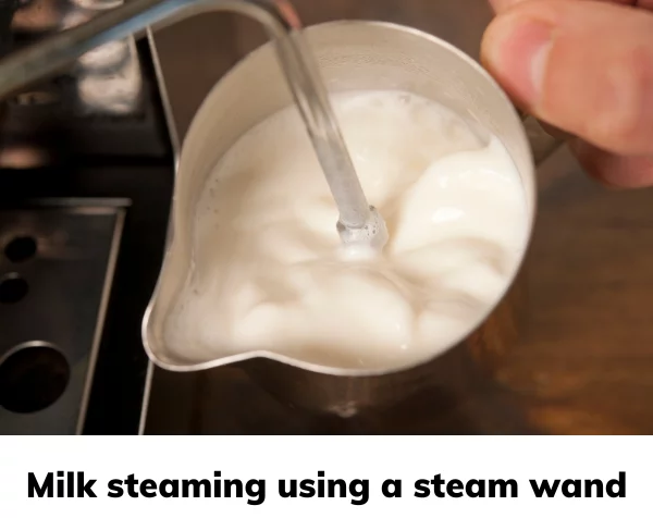 frothing vs steaming milk